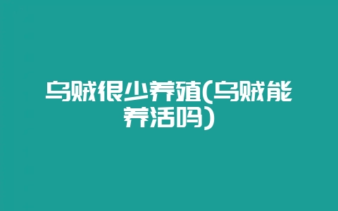 乌贼很少养殖(乌贼能养活吗)-会东网