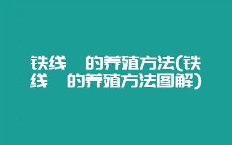 铁线蕨的养殖方法(铁线蕨的养殖方法图解)-会东网