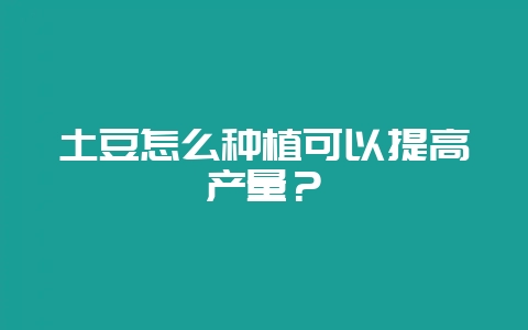 土豆怎么种植可以提高产量？-会东网