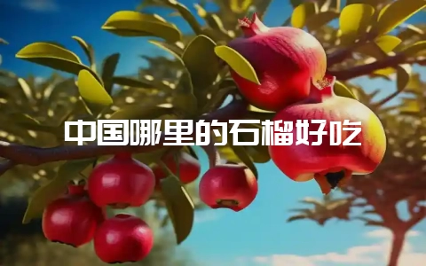 中国哪里的石榴好吃-会东网