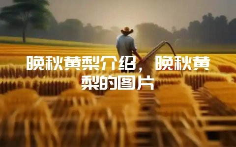 晚秋黄梨介绍，晚秋黄梨的图片-会东网