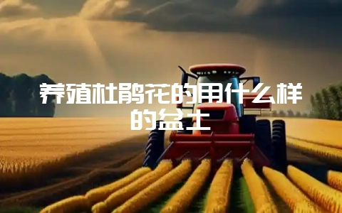 养殖杜鹃花的用什么样的盆土-会东网
