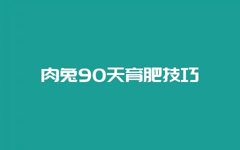 肉兔90天育肥技巧-会东网
