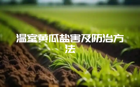 温室黄瓜盐害及防治方法-会东网