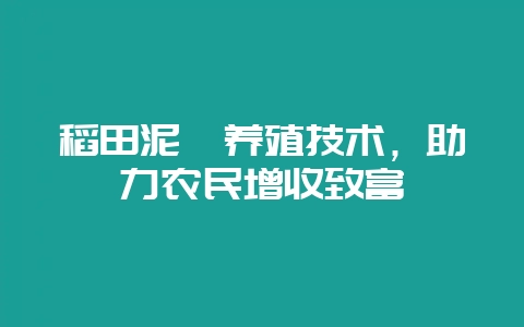 稻田泥鳅养殖技术,助力农民增收致富-会东网