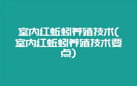 室内红蚯蚓养殖技术(室内红蚯蚓养殖技术要点)-会东网