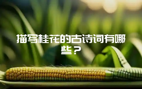 描写桂花的古诗词有哪些？-会东网