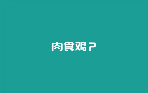 肉食鸡？-会东网
