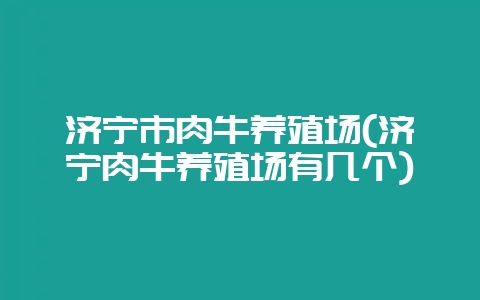 济宁市肉牛养殖场(济宁肉牛养殖场有几个)-会东网