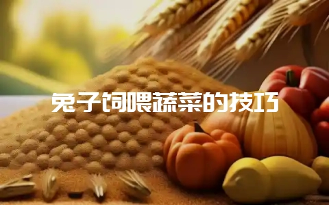兔子饲喂蔬菜的技巧-会东网