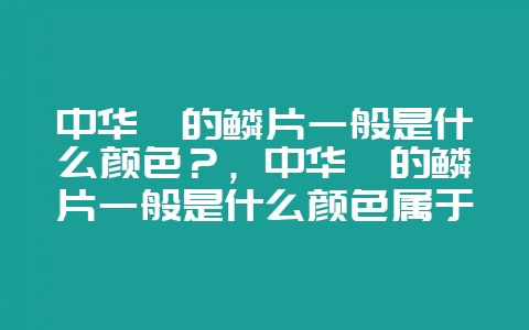 中华鲟的鳞片一般是什么颜色？，中华鲟的鳞片一般是什么颜色属于什么类别的鱼-会东网