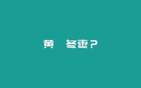 黄骅冬枣？-会东网