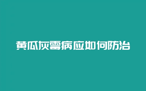 黄瓜灰霉病应如何防治-会东网