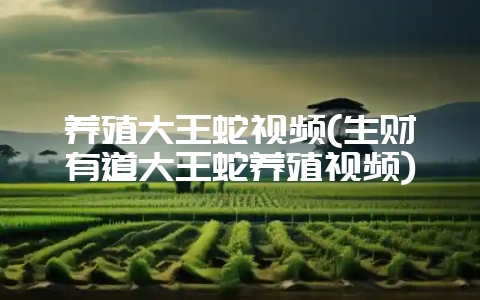 养殖大王蛇视频(生财有道大王蛇养殖视频)-会东网
