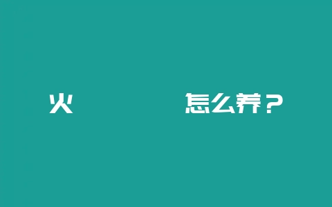 火麒麟蝾螈怎么养?-会东网