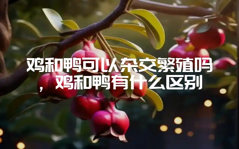 鸡和鸭可以杂交繁殖吗，鸡和鸭有什么区别-会东网