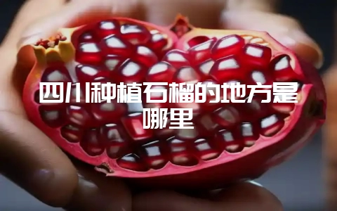 四川种植石榴的地方是哪里-会东网