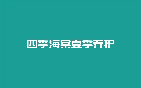 四季海棠夏季养护-会东网