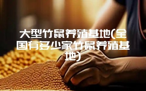 大型竹鼠养殖基地(全国有多少家竹鼠养殖基地)-会东网