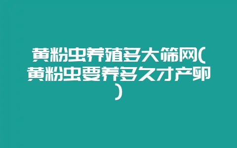 黄粉虫养殖多大筛网(黄粉虫要养多久才产卵)-会东网