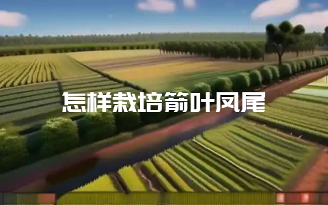 怎样栽培箭叶凤尾蕨-会东网