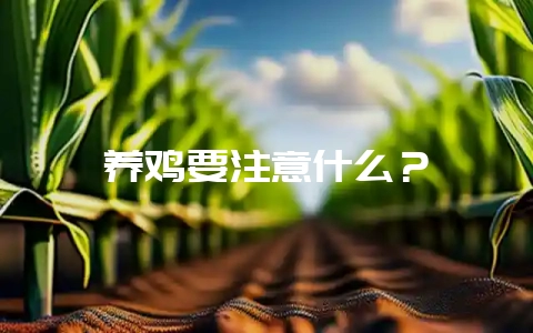 养鸡要注意什么？-会东网