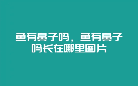 鱼有鼻子吗,鱼有鼻子吗长在哪里图片-会东网