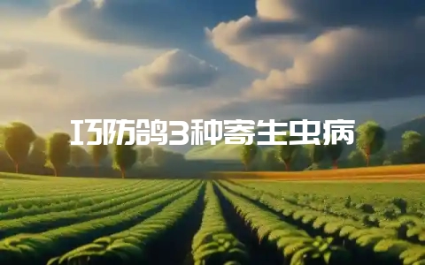 巧防鸽3种寄生虫病-会东网