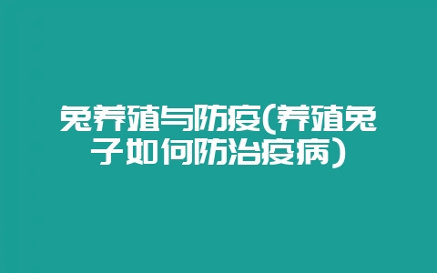 兔养殖与防疫(养殖兔子如何防治疫病)-会东网