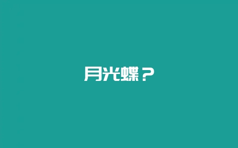 月光蝶？-会东网