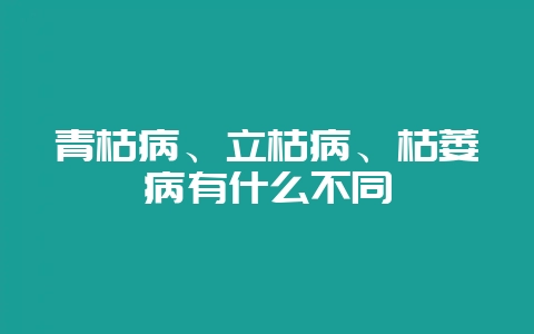 青枯病、立枯病、枯萎病有什么不同-会东网