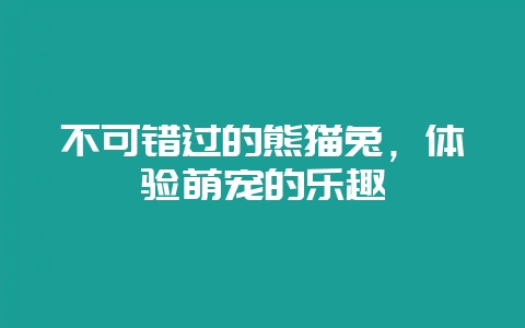 不可错过的熊猫兔，体验萌宠的乐趣-会东网