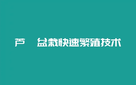芦荟盆栽快速繁殖技术-会东网