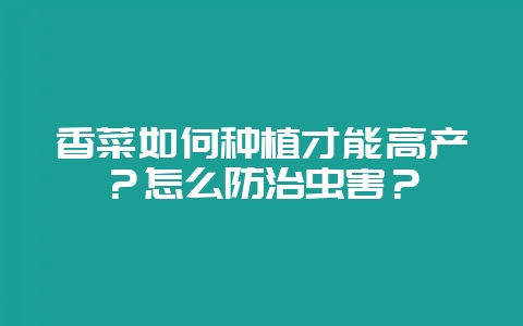 香菜如何种植才能高产？怎么防治虫害？-会东网