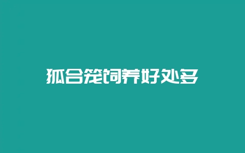 狐合笼饲养好处多-会东网