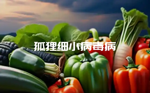 狐狸细小病毒病-会东网