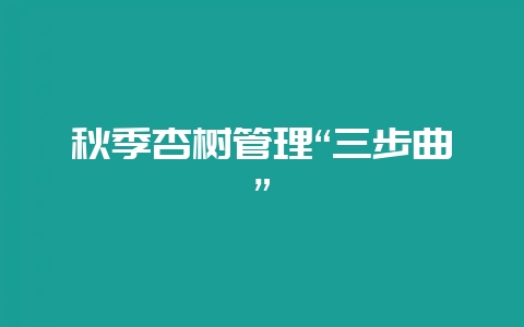 秋季杏树管理“三步曲”-会东网