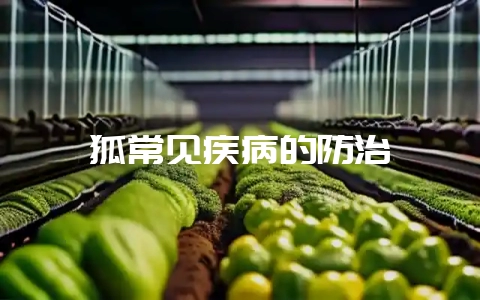 狐常见疾病的防治-会东网