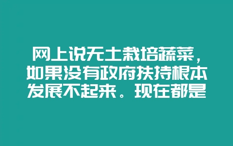 网上说无土栽培蔬菜，如果没有政府扶持根本发展不起来。现在都是这种情况吗？个人可以经营起来吗？-会东网
