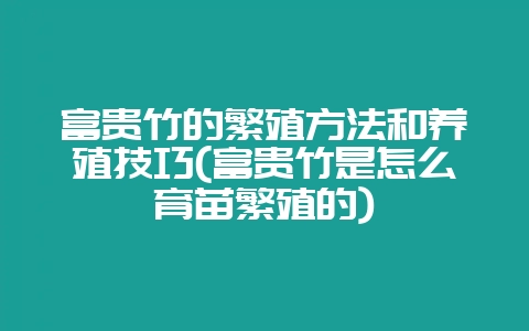 富贵竹的繁殖方法和养殖技巧(富贵竹是怎么育苗繁殖的)插图 富贵竹的繁殖方法和养殖技巧(富贵竹是怎么育苗繁殖的)插图