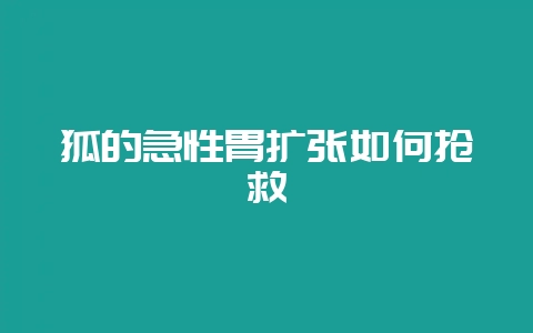 狐的急性胃扩张如何抢救-会东网