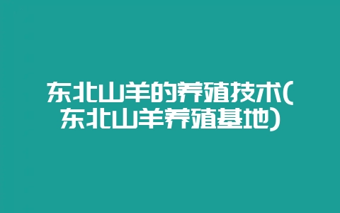 东北山羊的养殖技术(东北山羊养殖基地)插图 东北山羊的养殖技术(东北山羊养殖基地)插图