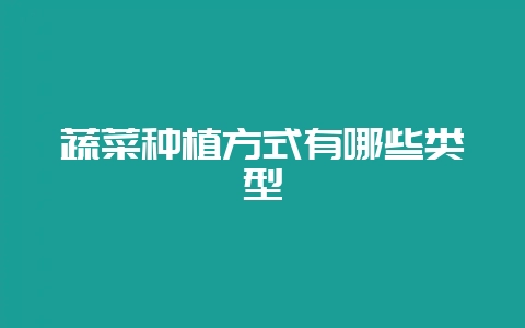 蔬菜种植方式有哪些类型-会东网