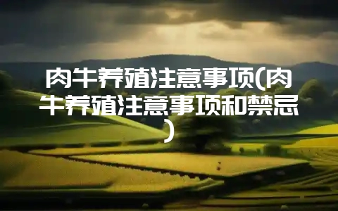 肉牛养殖注意事项(肉牛养殖注意事项和禁忌)-会东网