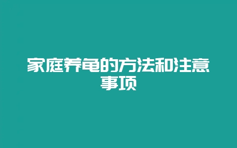 家庭养龟的方法和注意事项-会东网
