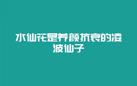 水仙花是养颜抗衰的凌波仙子-会东网