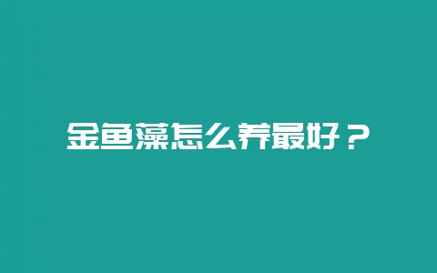 金鱼藻怎么养最好?-会东网