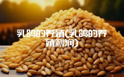 乳鸽的养殖(乳鸽的养殖利润)-会东网
