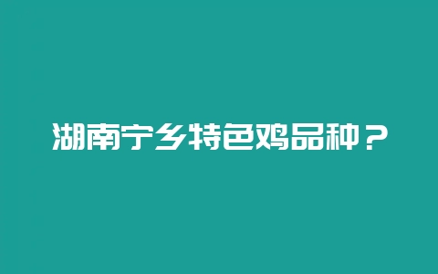 湖南宁乡特色鸡品种？-会东网