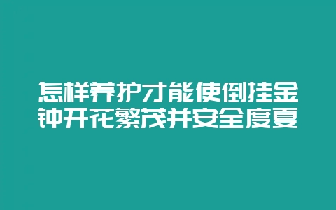怎样养护才能使倒挂金钟开花繁茂并安全度夏-会东网